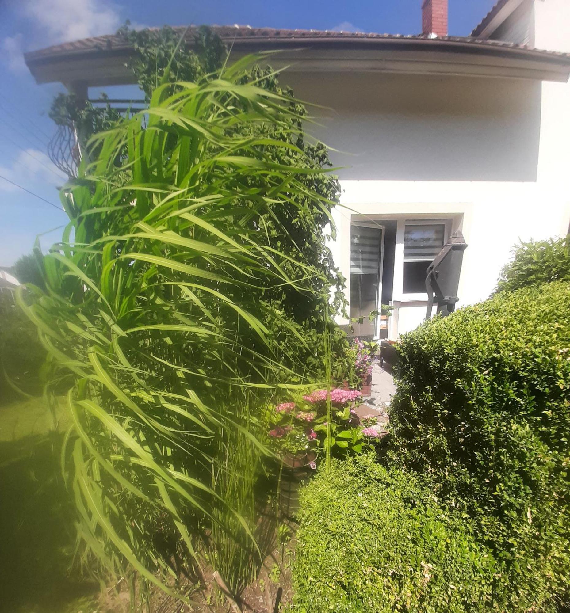 Pokoje Goscinne Cuma Łeba Habitación foto